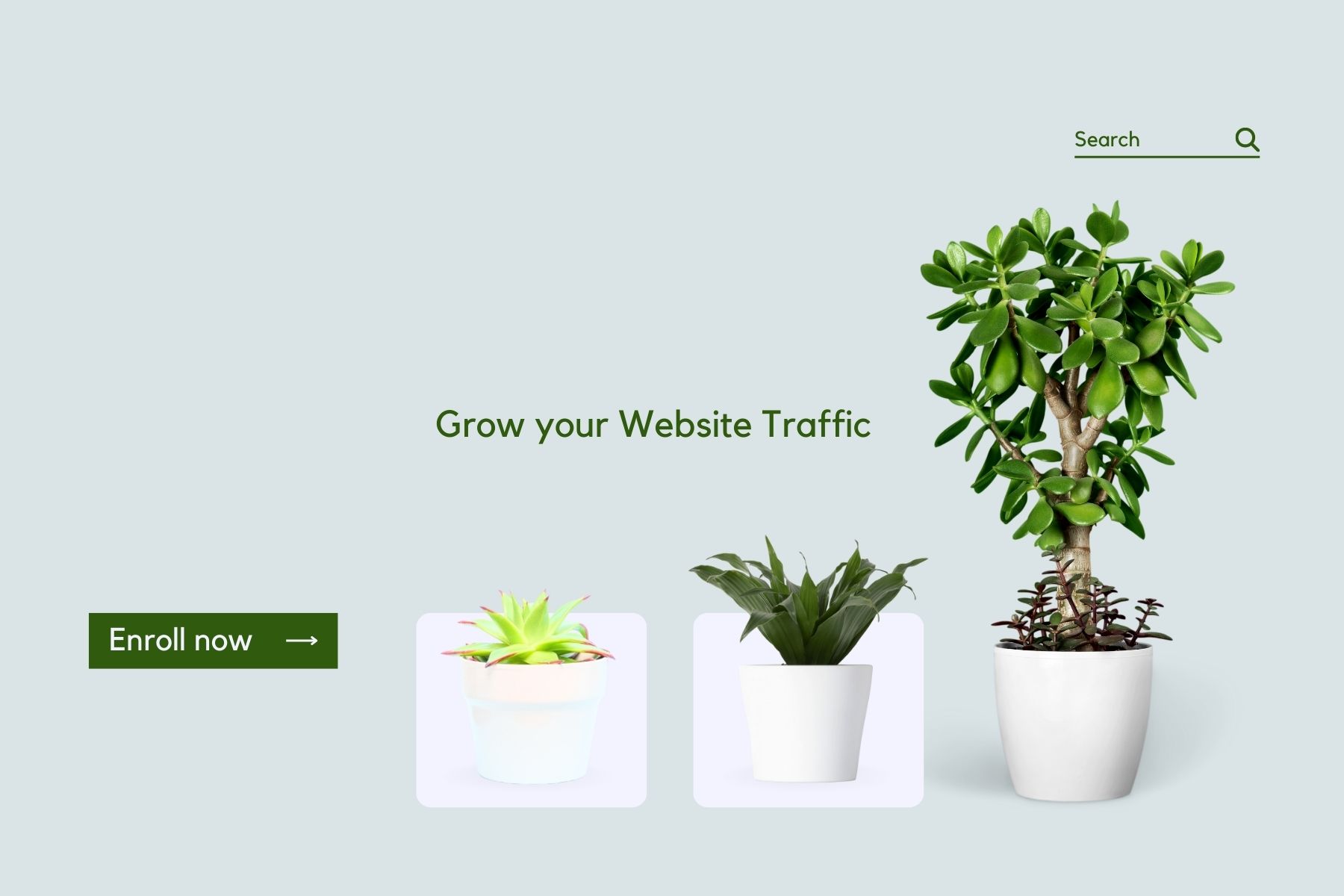 The Complete SEO Course: Achieving Top Rankings in Search Engines